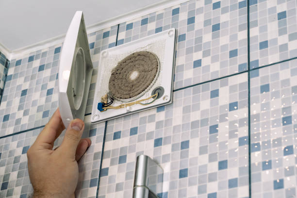 Best Air Duct Sanitizing Services  in Mount Morris, IL