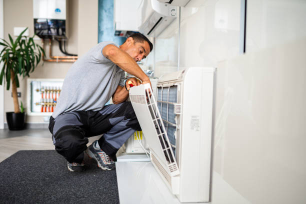 Best Affordable Duct Cleaning Services  in Mount Morris, IL