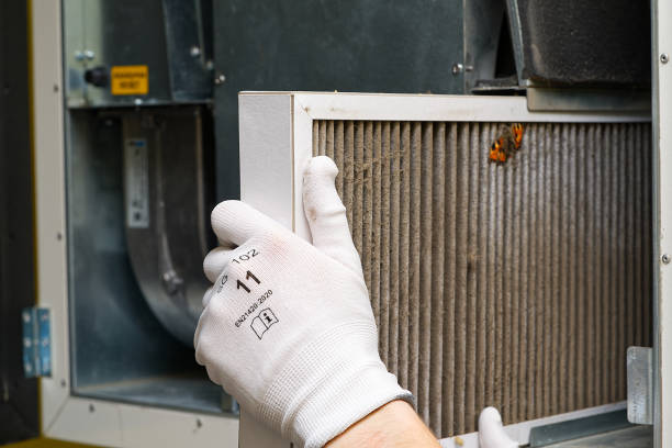 Best Best Air Duct Cleaning Company  in Mount Morris, IL