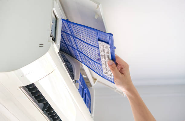 Best Air Duct Mold Removal  in Mount Morris, IL
