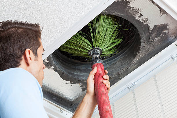 Best Air Duct Cleaning Company Near Me  in Mount Morris, IL